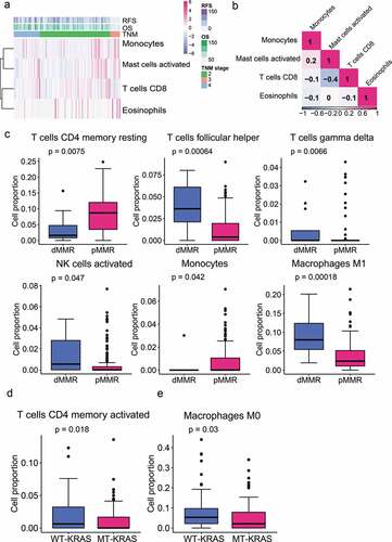 Figure 2. Correlation between immune infiltration landscape and clinical features in CRC. (a) The abundance of four tumor-infiltrating immune cell subpopulations (TIICs) which were significantly associated with TNM stage in the training set. CD8 + T cells (T cell CD8) was downregulated while Monocytes, Eosinophils and Mast cells activated were upregulated with increasing TNM stages (p < .05). (b) Correlation matrix of the CD8 + T cells, Monocytes, Eosinophils, and Mast cells activated. (c) Six TIICs (T cells CD4 memory resting, T cells follicular helper, T cells gamma delta, NK cells activated, Monocytes, and Macrophages M1) were associated with MMR status significantly (p < .05). dMMR, mismatch repair deficient; pMMR mismatch repair proficient. (d and e) T cells CD4 memory activated (d) and Macrophages M0 (e) were associated with KRAS mutation status (p < .05). WT-KRAS, wild-type KRAS; MT-KRAS, mutant KRAS.