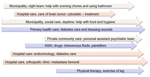 Figure 2 Examples of parallel and entangled processes that need to be coordinated between health and social care units.