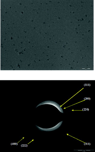 Figure 10. (a) TEM micrograph of ZrCe-2 sample and (b) the corresponding SAED pattern.