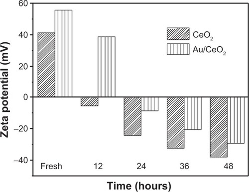 Figure 6 Zeta potential of prepared CeO2 and Au/CeO2 solutions monitored at regular intervals for 48 hours.Abbreviations: Au, gold; CeO2, cerium oxide; Au/CeO2, gold-coated cerium oxide.