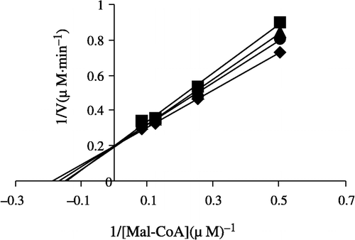 Figure 7 Lineweaver-Burk plot of the inhibition of overall reaction of FAS by Extr. The concentration of Extr in the reaction system was 0 (♦), 0.25 μg/mL (•), 0.5 μg/mL (▴), and 1.0 μg/mL (▪). The FAS concentration was 0.012 μM, and the fixed concentrations of NADPH and Acetyl-CoA were 32 and 2.5 μM, respectively. The reaction rate was expressed by the consumed concentration of NADPH per min in the overall reaction.