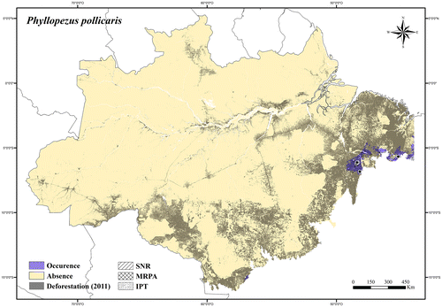 Figure 80. Occurrence area and records of Phyllopezus pollicaris in the Brazilian Amazonia, showing the overlap with protected and deforested areas.