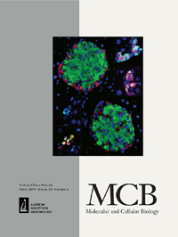 Cover image for Molecular and Cellular Biology, Volume 39, Issue 6, 2019