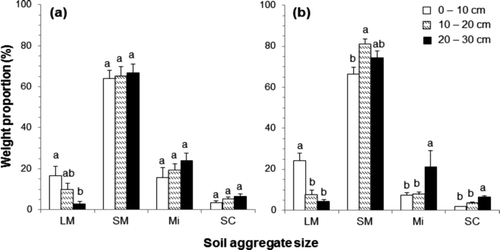 Figure 1. The weight proportion of different aggregate size class in the Pinus rigida (a) and Larix kaempferi (b) plantations with standard error bars; large macroaggregate (LM), small macroaggregate (SM), microaggregate (Mi), and silt-plus-clay (SC). Different letters indicate the differences among the depths within the same soil aggregate size (P < 0.05).