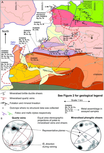 Figure 10. A, Geological map of the OSH showing the distribution of different metal assemblages and the orientation of mineralised structures. The listed metals are present at more than 5 times background values, whereas those metals denoted ± are present at 2–5 times background values. B, Contoured equal-area stereographic projections of mineralised vein and shear orientations. Mineralised veins and shears strike either northeast, parallel to the long axis of the OSH or northwest parallel to the FFS.
