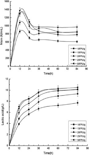Figure 3. Effect of enzyme (cellulase) addition on simultaneous saccharification and fermentation for nisin and lactic acid production from pretreated corn stover.