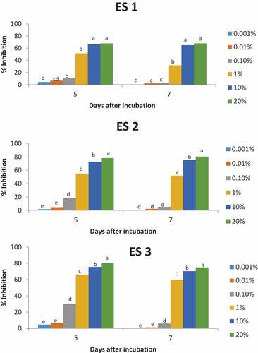 Figure 1. Effect of different concentrations of soybean extract on the mycelial growth of E. salmonicolor (ES) at 5 and 7 days of incubation (28 ± 2°C). Values of percentage inhibition bearing the same letter within the same incubation day are not significantly different at p < 0.05 using Tukey’s post hoc test.