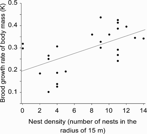 Figure 2. Relationship between brood growth rate of body mass expressed by the parameter K of the fitted logistic curve and nest density in the Whiskered Tern chicks at Jeziorsko reservoir.