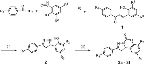 Scheme 1. Synthesis of compounds 3a–3f. Reagents and conditions: (i) 40% NaOH solution, EtOH, 60 °C; (ii) N2H4·H2O, EtOH, reflux; (iii) N,N′-carbonyldiimidazole or 1,1′-thiocarbonyldiimidazole, CH2Cl2, r.t.