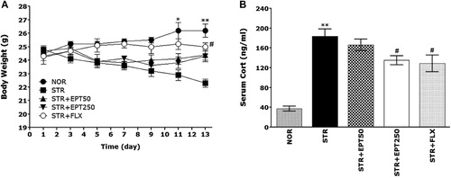 Figure 1. The effects of EPT administration on body weight gain (A) and CORT serum levels (B) in mice exposed to repeated restraint stress for 14 consecutive days.Note: *p < .05, **p < .01 versus NOR group, #p < .05 versus STR group.