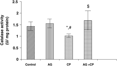 Figure 8. Catalase activity in the kidneys of AG-treated rats and CP-treated rats. Data represent mean ± SD of 5–7 rats. *P < 0.02 vs. control, #P < 0.02 vs. AG, $P < 0.05 vs. CP.
