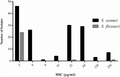 Figure 1 The minimum inhibitory concentration (MIC) of azithromycin for clinical isolates of Shigella recovered from pediatric patients in Tehran, Iran.