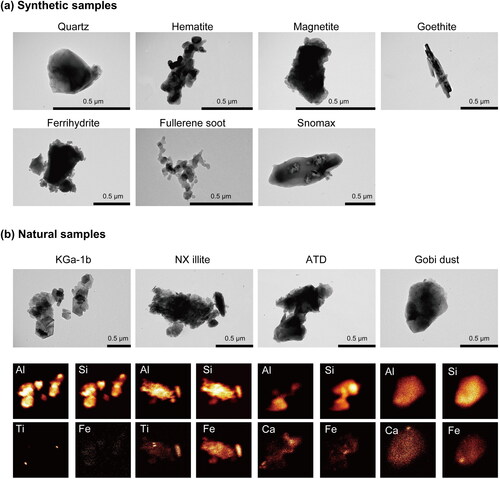 Figure 3. Representative TEM images for each of the (a) synthetic and (b) natural samples. In (b), four elemental mappings are shown for each TEM image. The TEM images were obtained using a 120-kV TEM (JEM-1400, JEOL) and the elemental mappings were measured using an energy-dispersive X-ray spectrometer (EDS, Oxford Instruments) with scanning TEM mode (STEM-EDS).