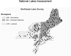 Figure 1 EMAP Northeastern Lake Survey 1992–1994 sample lakes. In the text we refer to the combination of Omernik's (1987) N.E. Highlands and Adirondacks ecoregions as the NE Highlands.