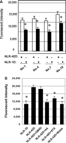 Figure 4.  Blebbistatin, ascorbic acid, and STS suppress phagocytosis in plasma-treated neutrophils. Neutrophils were incubated with NLR-1D or NLR-42D from 4 different donors in triplicate (*p < 0.05, compared with NLR-42D). (B) Blebbistatin, ascorbic acid, and STS pretreatment significantly blocked plasmainduced phagocytosis in 6 different donors in triplicate (*p < 0.05, compared with NLR-42D).