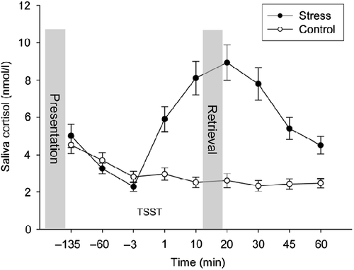 Figure 1  Salivary cortisol response to the stress and the control task. Salivary cortisol concentration increased in the stress group (n = 33) but not in the control group (n = 18) (ANOVA, time by group interaction, p < 0.0001); presentation, presentation of the word list; and retrieval, free recall of words learned 165 min earlier. Data are presented as mean ± SEM.