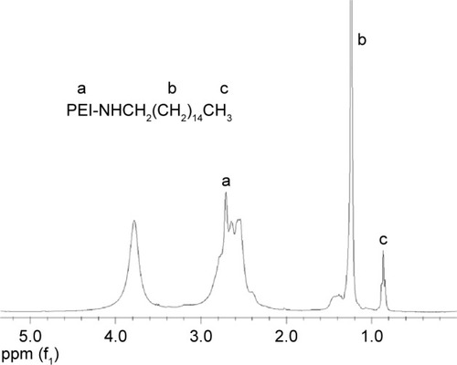Figure 2 1H-NMR spectrum of the PEI-cet copolymer in CDCl3.Abbreviations: NMR, nuclear magnetic resonance; PEI, polyethyleneimine; PEI-cet, cetylated PEI; HA, hyaluronic acid.