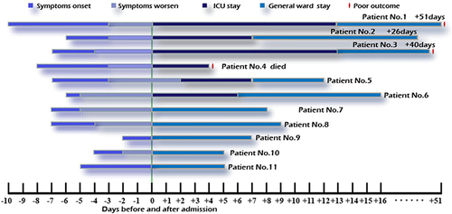 Figure 1 Schematic description for individual patients.