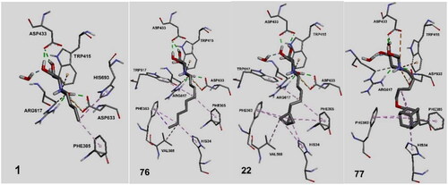 Figure 11. Interactions of ligands 1, 76, 22, and 77 in the binding site of α-glucosidase II.