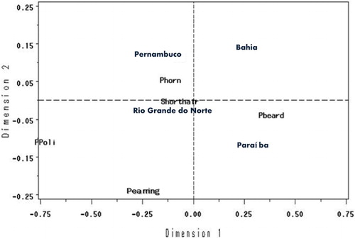Figure 5. Representation of correspondence analysis of morphologic variable, associated to the individuals per state in a bidimensional plan. Phorn: presence of horn; Shorthair: short hair; Pearring: presence of earring; Pbeard: presença presence of beard; CPoli: politetia.