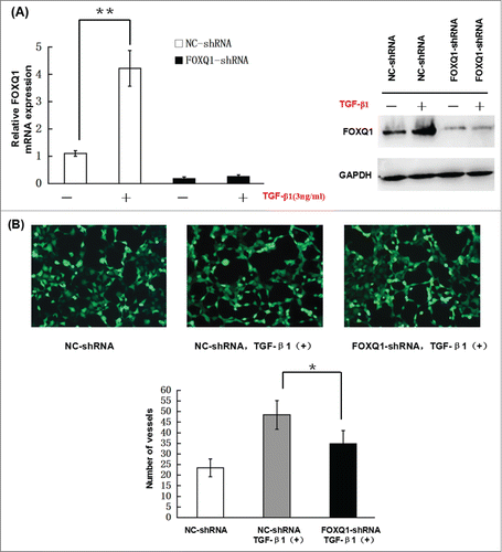 Figure 5. (Continued).