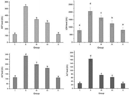 Figure 6. Effects of S. xanthocarpum active fraction (SXAF) on serum enzymes in CCl4-induced hepatotoxicity in rats. Group I – control; Group II – CCl4; Group III – SXAF 100 mg/kg b.w. + CCl4; Group IV – SXAF 200 mg/kg b.w. + CCl4; Group V – Silymarin 25 mg/kg b.w. + CCl4; LDH, lactate dehydrogenase; ALT, alanine aminotransferase; AST, aspartate aminotransferase; ALP, alkaline phosphatase. Each bar represents the mean ± SE, n = 6; bars with different alphabets differ significantly at p < 0.05 level (DMRT).