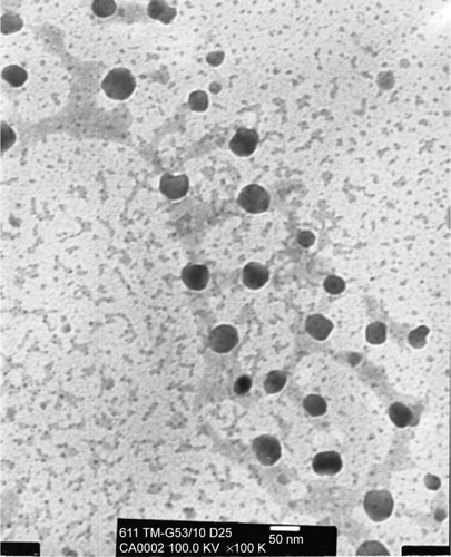 Figure 2 Transmission electron microscopic micrograph of amsacrine analog-loaded solid lipid nanoparticle (SLN) (original magnification ×100 K).