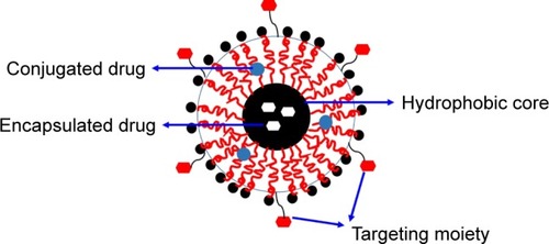 Figure 4 Schematics of PNPs.Abbreviation: PNP, polymeric nanoparticle.