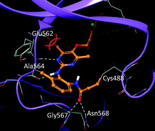 Figure 5. Introduction of methyl groups into the pyrimidyl ring in FGFR1 − ligand complex crystal structure (PDB 6NVL). Methyl groups in the pyrimidine ring would clash with the Glu562 on the hinge loop of FGFR1.
