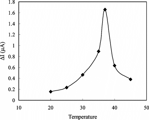 Figure 6 The effect of temperature on the response of enzyme electrode against creatine (0.05 M pH 7.5 phosphate buffer).