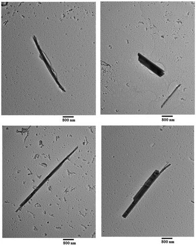 Figure 6. Representative TEM images of fibers of LA 2007 bulk material. (Scale bar is 800 nm.)