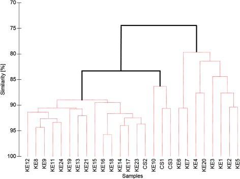 Figure 4. Group average dendrogram, based on all Calanus copepods at all stations. All data were square-root transformed. Bold lines: significant group structure. Thin lines: no significant group structure could be detected by SIMPER test (p<0.05).