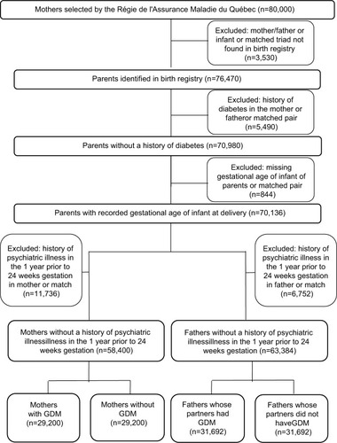 Figure 1 Participant flow diagram.