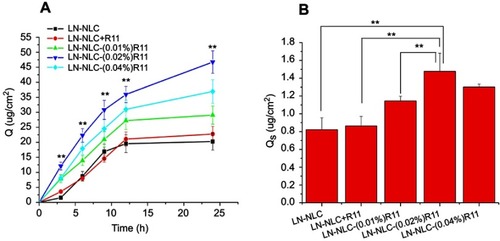 Figure 6 In vitro percutaneous permeability and retention in skin of LN.Notes: (A) In vitro cumulative penetration amounts of lornoxicam per cm2 (Q) versus time profiles in different formulations, **P＜0.01, compared LN-NLC; (B) The skin drug deposition (Qs) of different formulations in transdermal permeation, **P＜0.01. Data presented as mean ± SD (n=3).