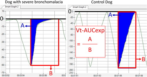 Figure 4. The volume-time (V-t) plots from a dog with severe bronchomalacia (left) and a control dog (right). an exponential shape of the expiratory curve was noted in dogs severe bronchomalacia, resulting in a low proportion of area under expiratory curve on V-t plot (Vt-AUCexp).