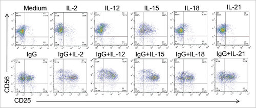 Figure 3. Various combinations of FcR and cytokine stimulation enhance NK cell CD25 expression. Healthy donor human NK cells were isolated and cultured for 24 h in medium alone or in the presence of immobilized IgG, IL-2,-12, -15, -18, -21 or the combination of IgG and those cytokines. Cells were harvested and CD25 levels were examined by flow cytometry.