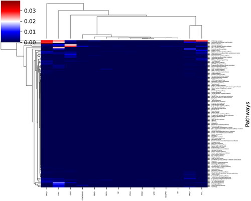 Figure 3. The heatmap plot of GSEA analysis of identified CNVs.