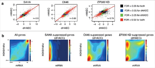 Figure 7. Inhibition of HATs and HDACs mediates robust changes in gene expression. (a) Correlation plots with the linear model and Pearson's correlation for non-diabetic (nHAEC) and diabetic HAECs (dHAEC) exposed to SAHA, C646 (pharmacological EP300/CREBBP inhibitor) or EP300 siRNA. (b) Density plots show the relationship between gene expression (RNA-seq) and histone acetylation at promoters (ChIP-seq) for all genes and the top 1000 genes suppressed by SAHA, C656 or EP300 KD in diabetic HAECs (legend: relative gene density).