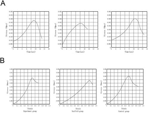 Figure 9. The results of mechanical test of the scaffold complex. (A) Stress-time curve; (B) Stress-strain curve.