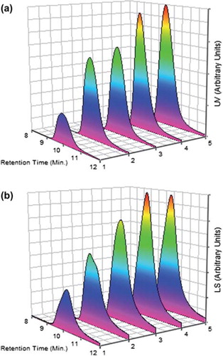 Figure 4. SEC [UV (a), LS (b)] chromatograms of the conjugates by means of the microwave-assisted method of BSA-P(MVE-MA) bioconjugates prepared at the ratios of nBSA/nP(MVE-MA): 0.25(1), 0.5(2), 1(3), 3(4), 5(5).