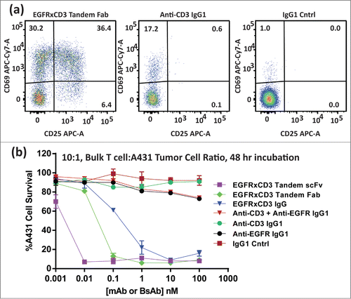 Figure 7. (A) Flow cytometry histograms of CD69 and CD25 activation marker levels on CD8 positive T cells after a 48 hour incubation in the presence of EGFR + A431 cells and 1 nM EGFR × CD3 tandem Fab (left), Anti-CD3 IgG1 mAb (center), or an IgG1 control mAb (right). Numbers in each quadrant of the histrograms indicate the relative population of cells displaying each marker or both markers (upper right). (B) The percent cell survival of A431 cells incubated for 48 hours in the presence of various test articles and bulk (non-pretreated) T cells. Included in the assay was an IgG BsAb described previously.Citation14 The lines between points were simple interpolations (no fit).