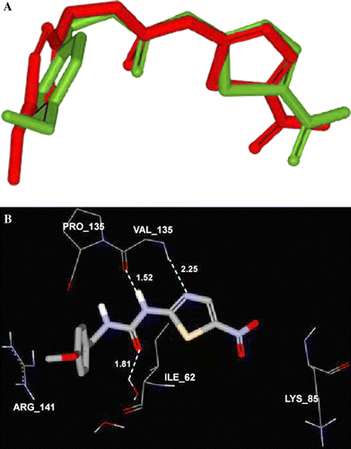 Figure 2.  (A) Comparison between the docked pose (green) of the ligand AR-A014418 as produced by docking simulation and the crystallographic structure of this ligand (red) within the binding pocket of GSK-3β. (B) Detailed view of the co-crystallized structure (AR-A014418) and the corresponding interacting amino-acids within the binding site of GSK-3β.
