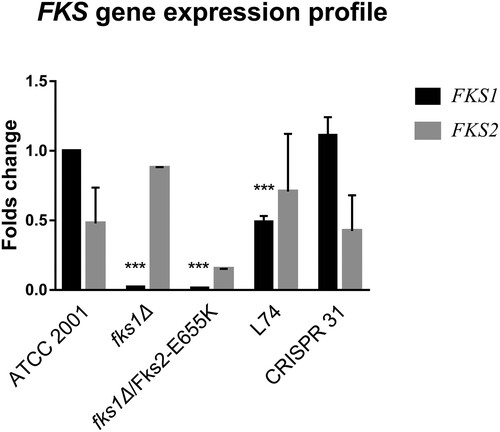 Figure 2. Relative expression of FKS1 and FKS2 genes in C. glabrata mutants determined by RT–PCR. Statistical analysis was performed using Student’s t-test (*** P < 0.01). The data are presented as the mean ± s.d.