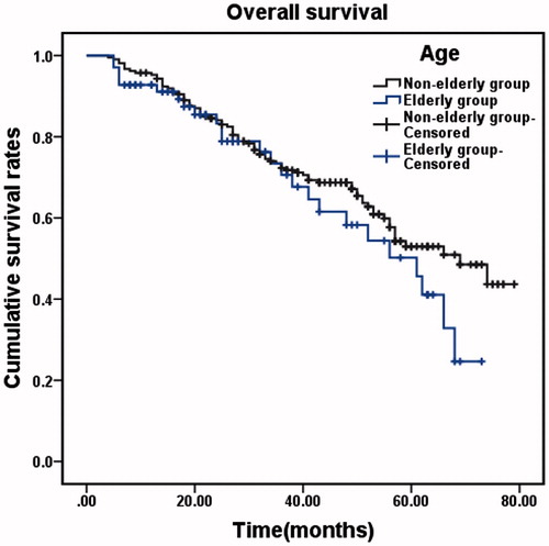 Figure 2. Overall survival of the two groups, excluding patients that died of co-morbid diseases. Cumulative OS rates in the elderly group (n = 81) and the non-elderly group (n = 279). There was no significant difference between the two groups (χ2 = 1.632, p = 0.201, log-rank test).