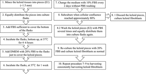 Figure 1. Flow chart showing general steps of traditional explant culture method (1–8.1) and long-term explant culture method (1–10).