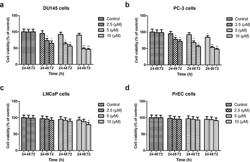 Figure 1. Effect of PEU (0, 2.5, 5, and 10 μM) on the cell viability of different prostate cancer cells. (a) Effect of PEU (0, 2.5, 5, and 10 μM) on the cell viability of androgen-independent DU145 cells; (b) Effect of PEU (0, 2.5, 5, and 10 μM) on the cell viability of androgen-independent PC-3 cells; (c) Effect of PEU (0, 2.5, 5, and 10 μM) on the cell viability of androgen-dependent LNCaP cells; (d) Effect of PEU (0, 2.5, 5, and 10 μM) on the cell viability of normal human prostate epithelial PrEC cells. Results are expressed as the means ± SD of three separate determinations. *P < 0.05 and **P < 0.01 compared with control cells