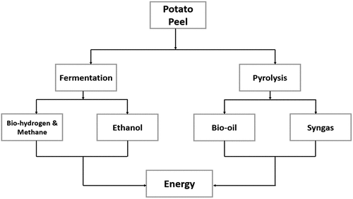 Figure 6. Routes of energy generation from PPW.