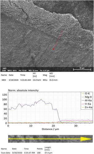 Figure 9. SEM image and EDS line scan of the (Mg0.93Zn0.07)V2O6 specimen co-fired with Al electrode at 610°C