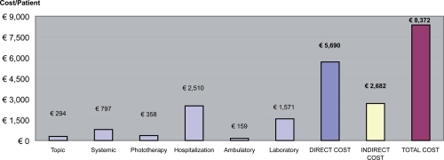 Figure 1 Direct and indirect costs per year.