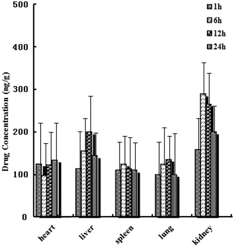Figure 7. Distribution in tissue in rats after following i.v. administration of a single 10 mg/kg dose of ACM injection tissues (ng/g) (each point represents the mean ± SD of six rats).